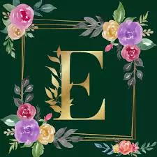 e letter image e letter image